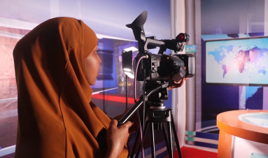 Addressing gender-based violence against women activists in Somalia: Violence Observatory Systems